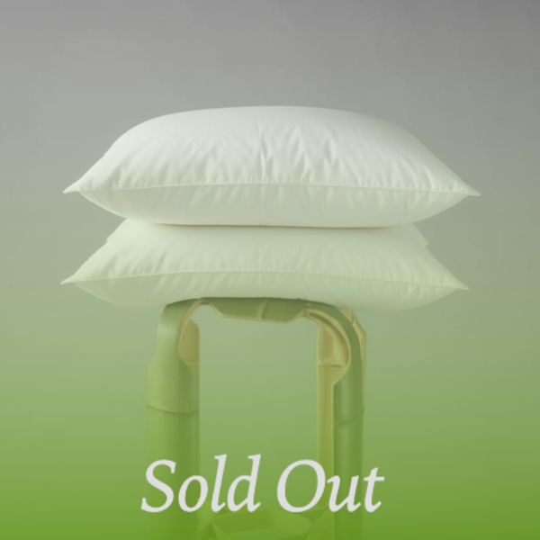 Feather Pillow - 2 Pack -