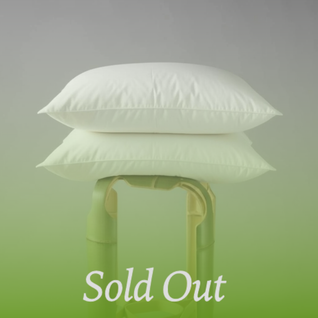 Feather Pillow - 2 Pack -