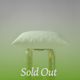 Organic Kapok Latex Pillow -